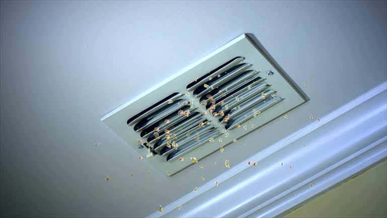 Best Commercial HVAC Duct Cleaning  in Pine Bluff, AR